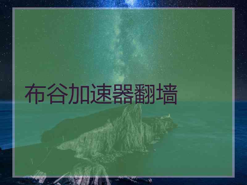 布谷加速器翻墙
