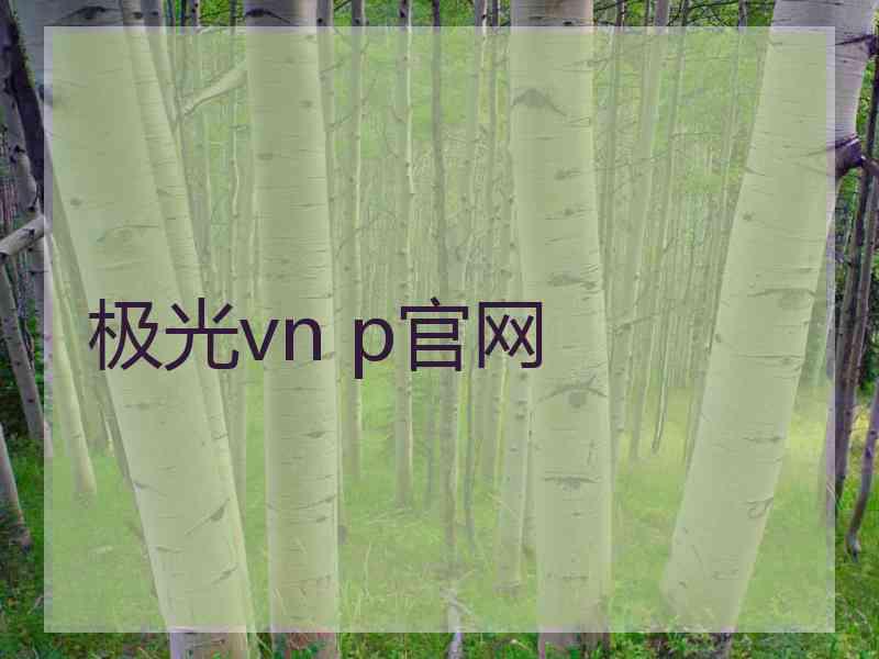 极光vn p官网