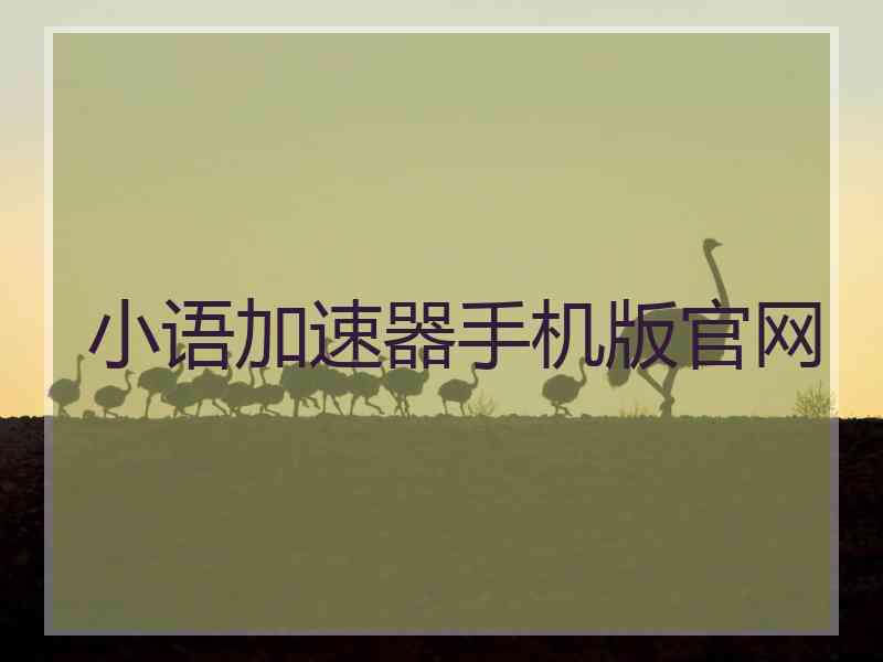 小语加速器手机版官网