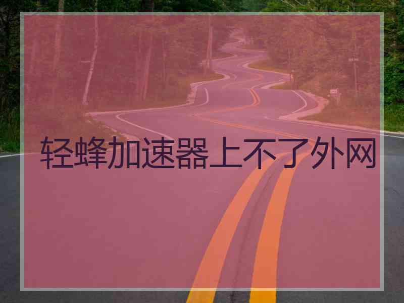 轻蜂加速器上不了外网