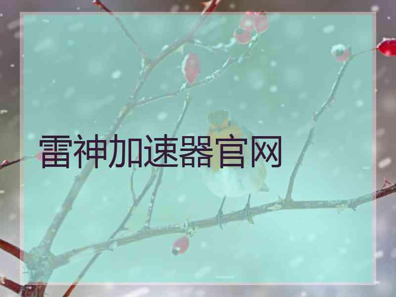 雷神加速器官网