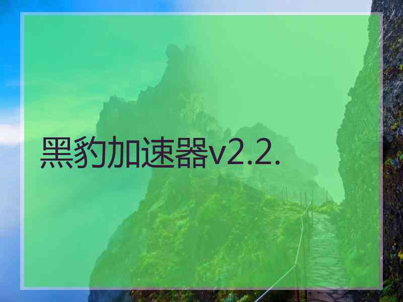 黑豹加速器v2.2.