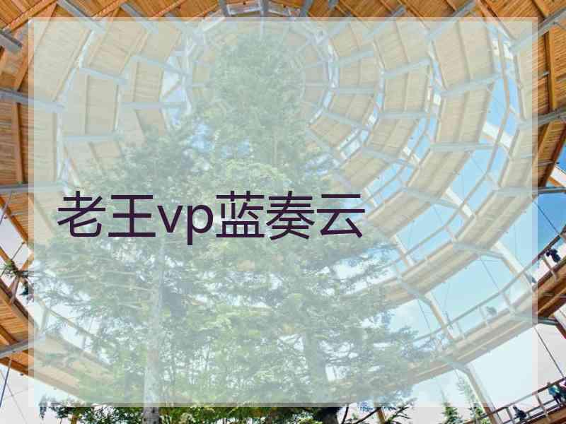 老王vp蓝奏云