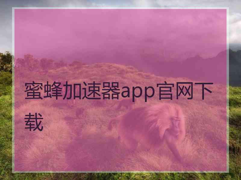 蜜蜂加速器app官网下载