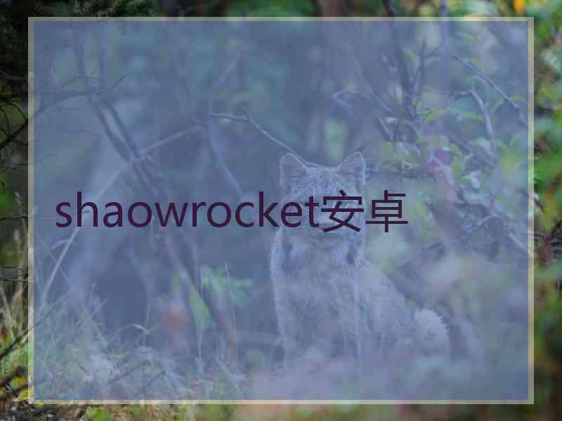 shaowrocket安卓
