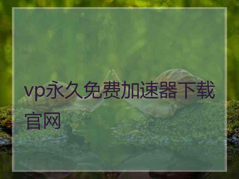 vp永久免费加速器下载官网