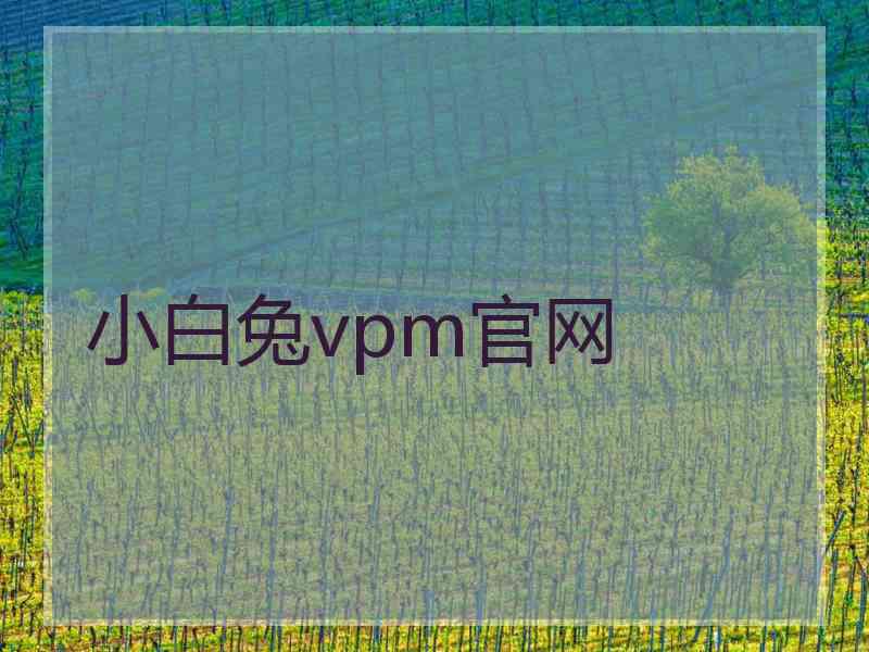 小白兔vpm官网
