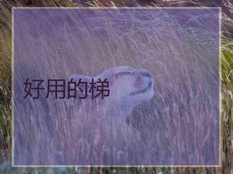 好用的梯