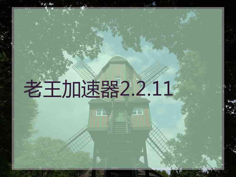 老王加速器2.2.11