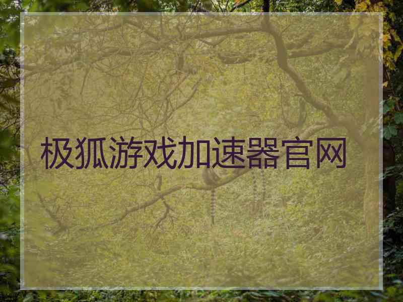 极狐游戏加速器官网