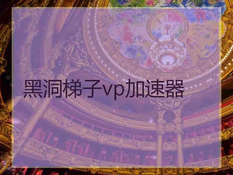 黑洞梯子vp加速器