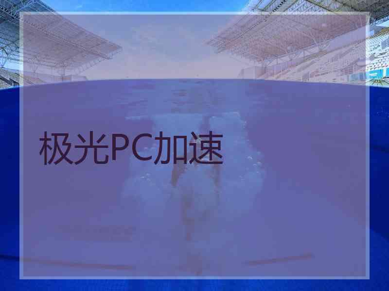 极光PC加速