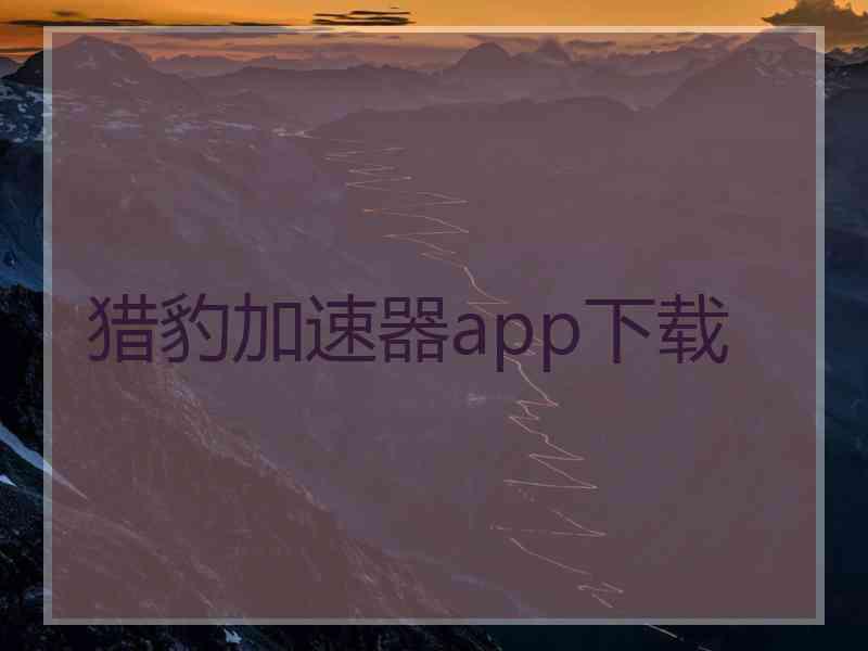 猎豹加速器app下载
