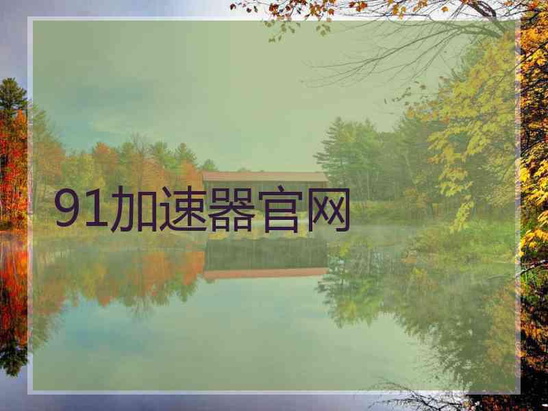 91加速器官网