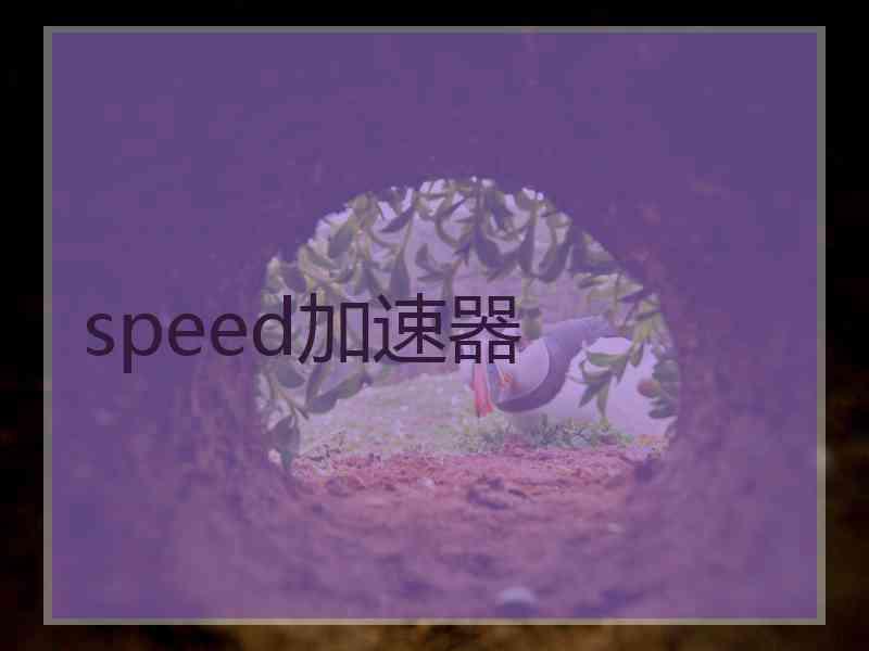 speed加速器