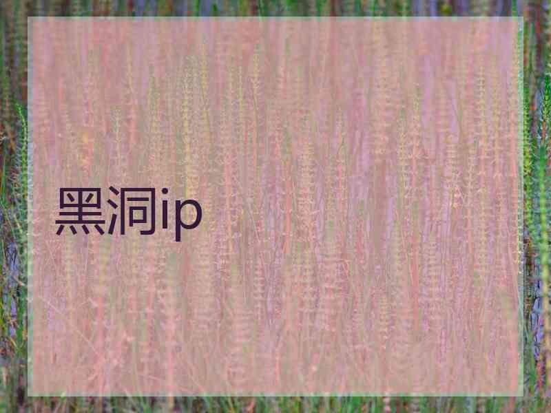 黑洞ip