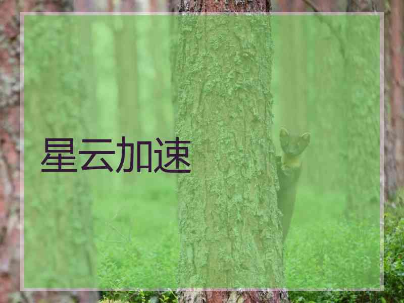 星云加速