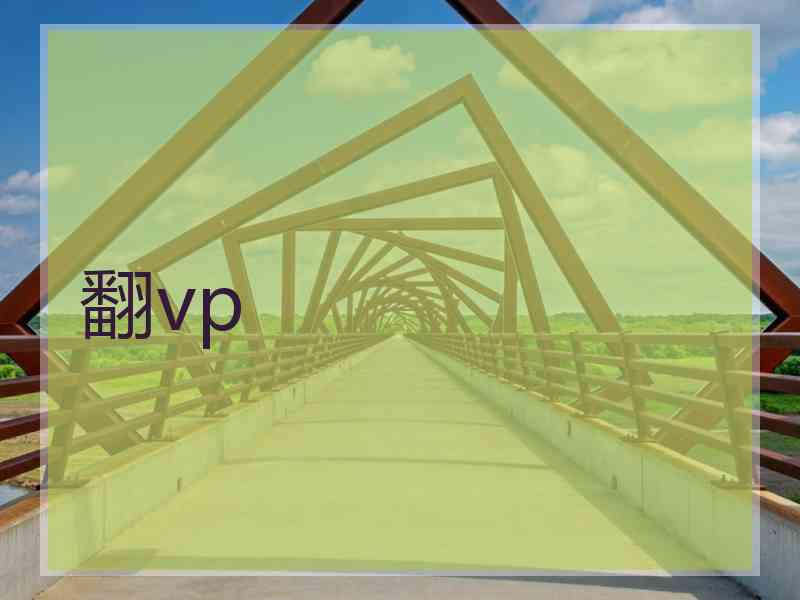 翻vp