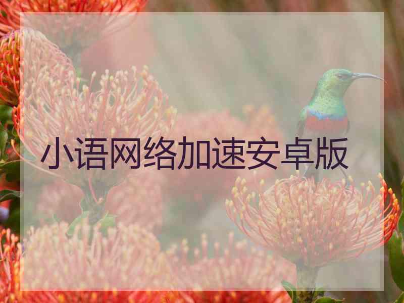 小语网络加速安卓版
