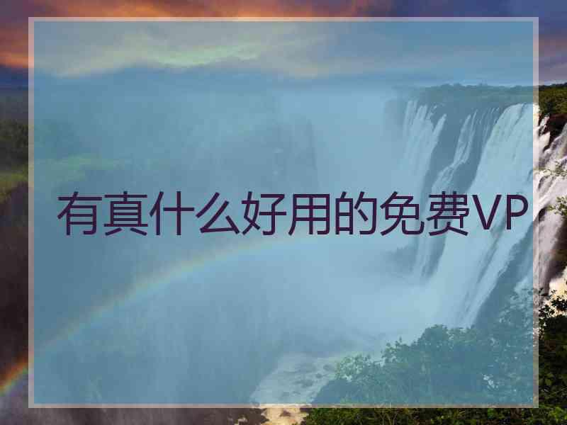 有真什么好用的免费VP