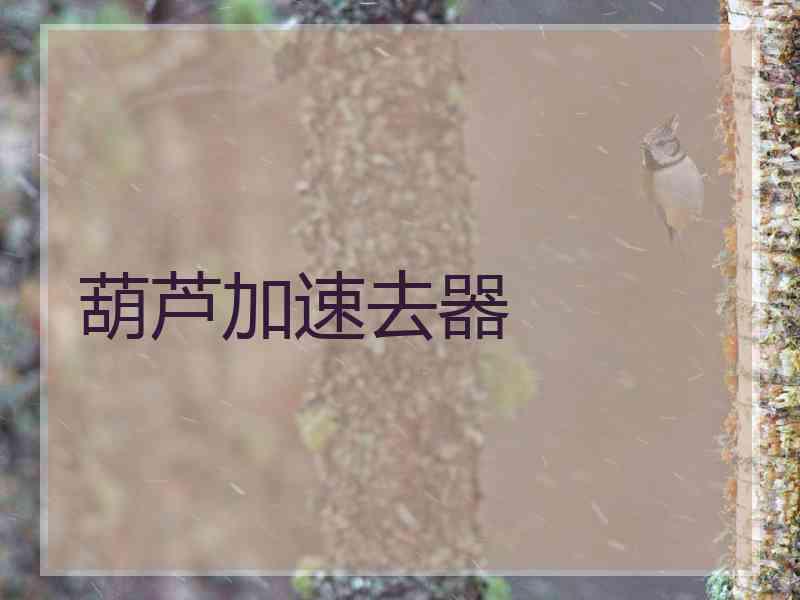葫芦加速去器