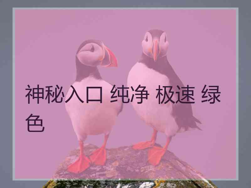 神秘入口 纯净 极速 绿色