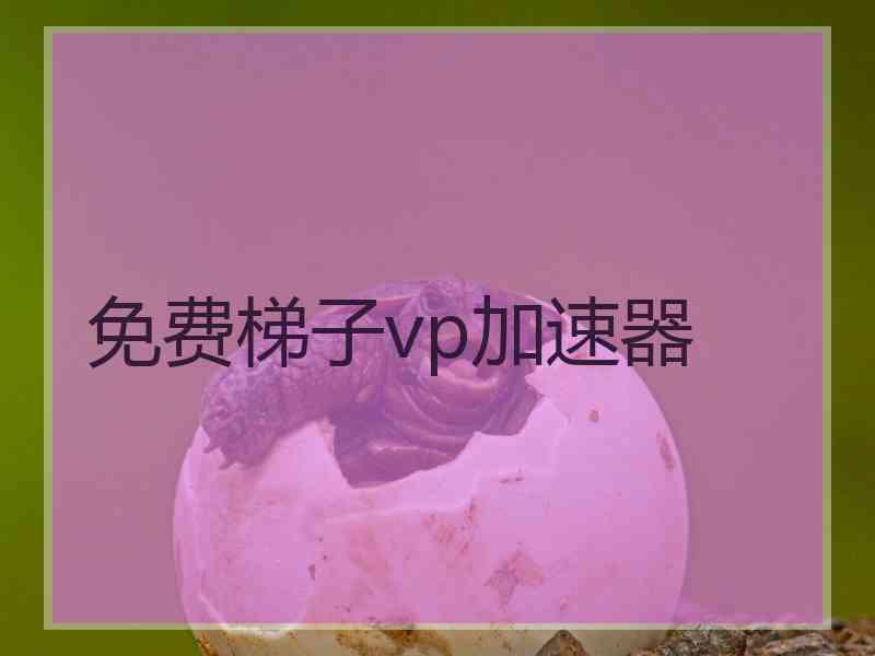 免费梯子vp加速器