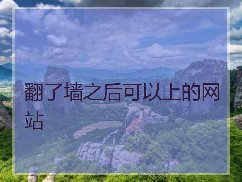 翻了墙之后可以上的网站