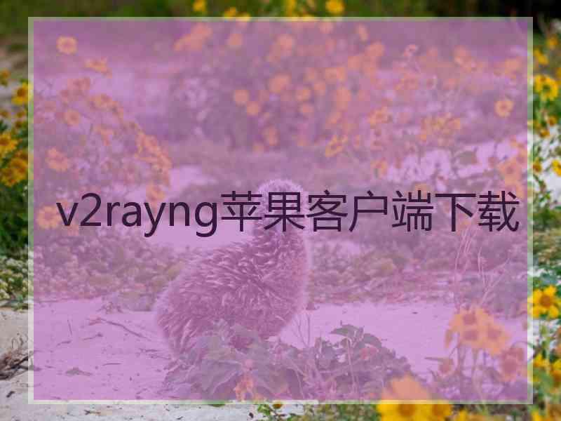 v2rayng苹果客户端下载