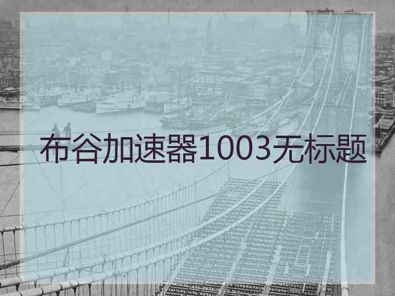 布谷加速器1003无标题