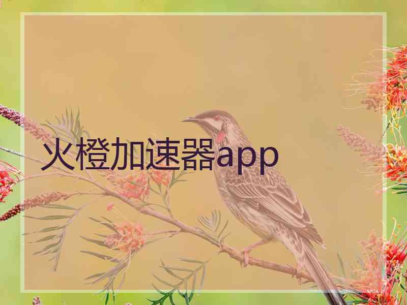 火橙加速器app