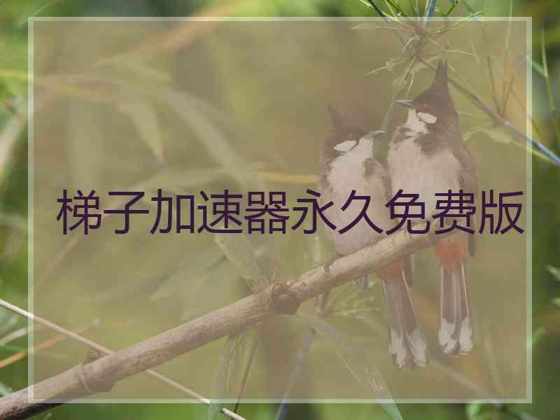 梯子加速器永久免费版