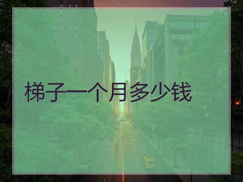 梯子一个月多少钱