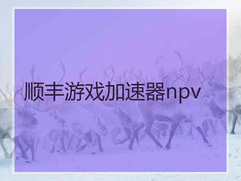 顺丰游戏加速器npv