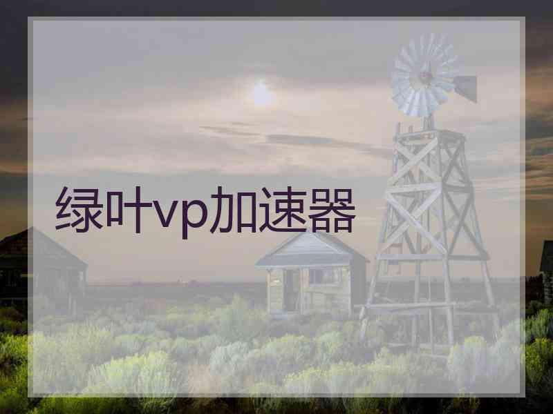 绿叶vp加速器