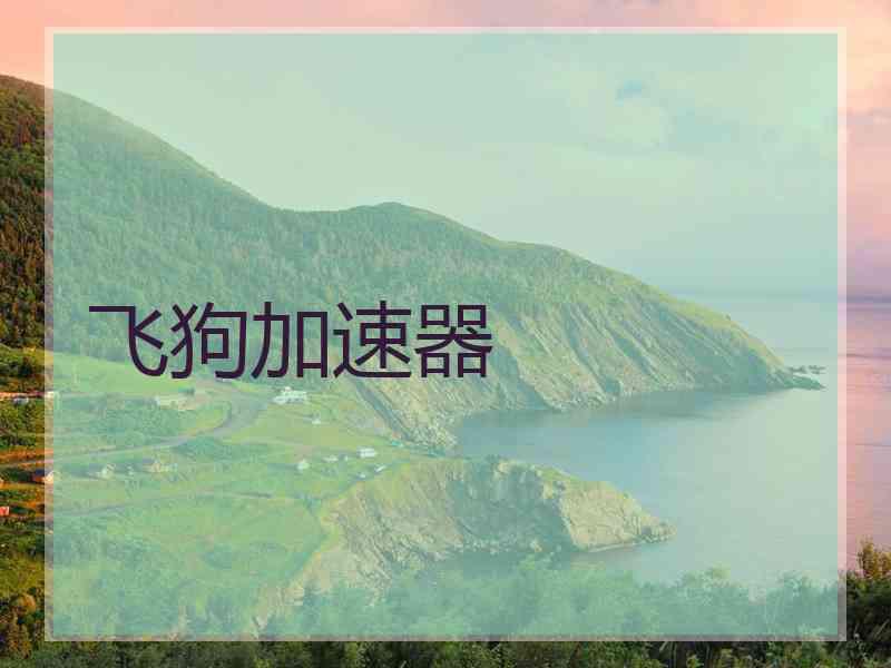 飞狗加速器