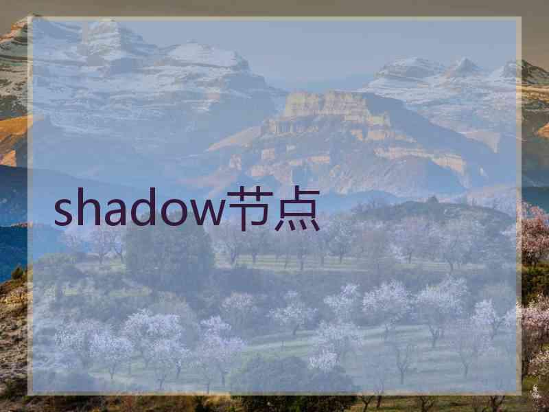 shadow节点