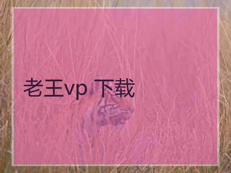 老王vp 下载