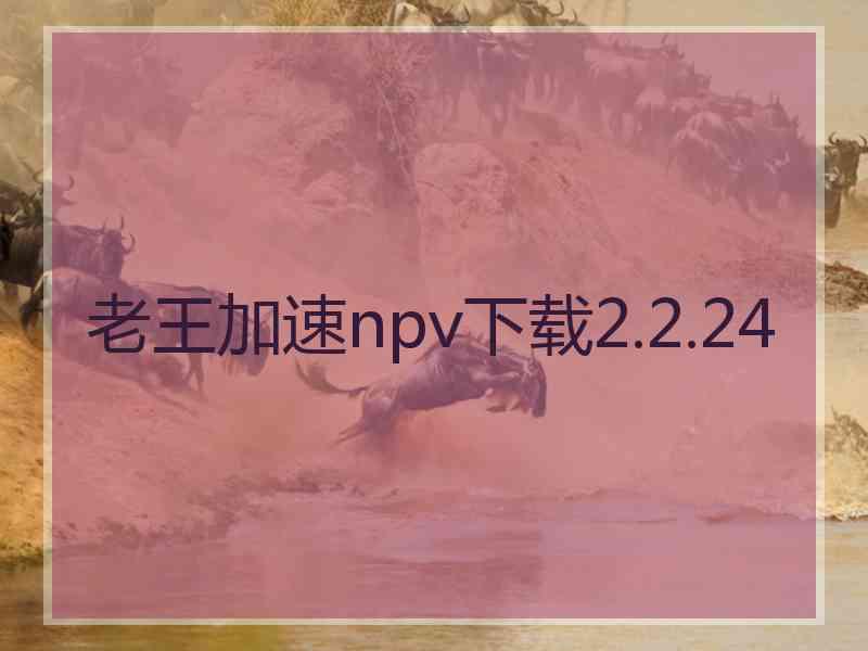 老王加速npv下载2.2.24