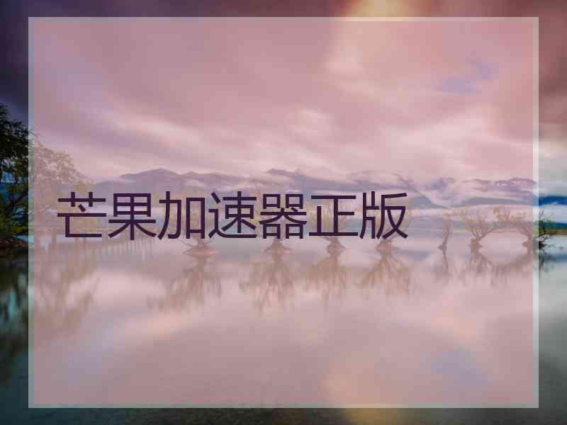 芒果加速器正版