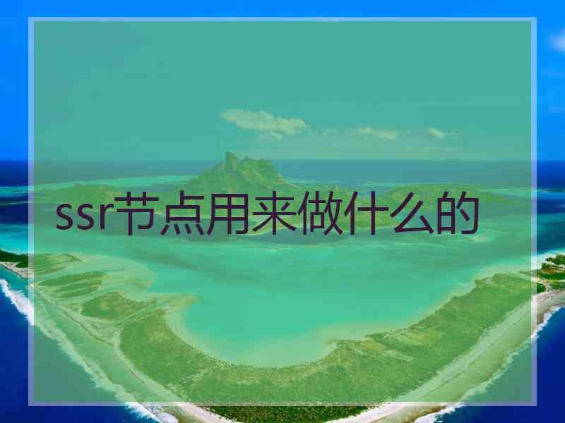 ssr节点用来做什么的