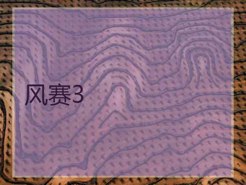 风赛3