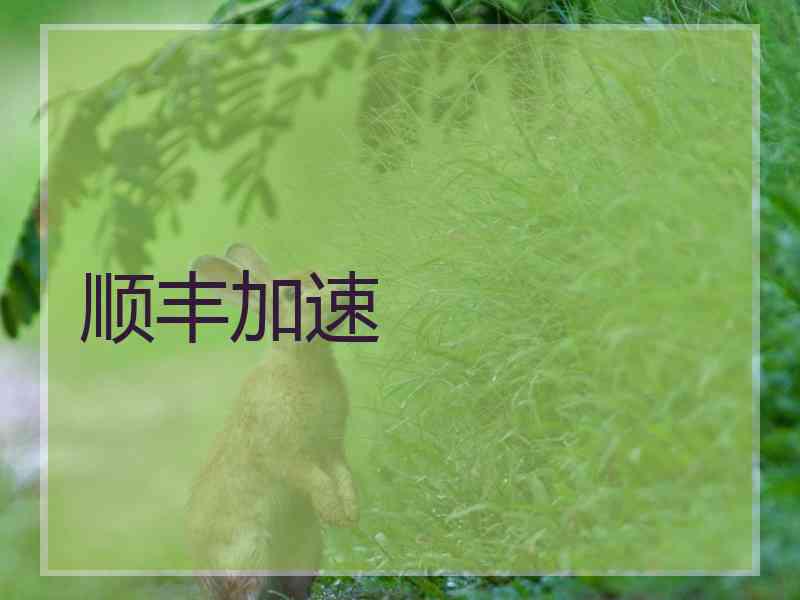 顺丰加速