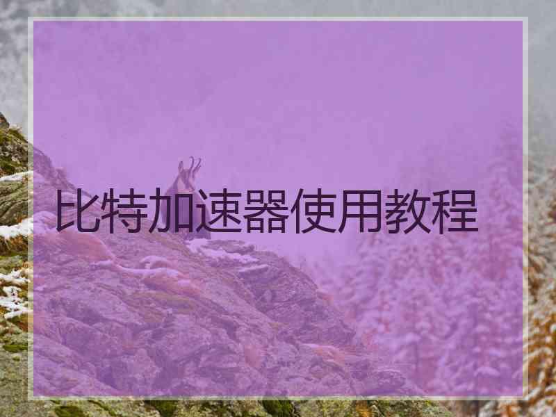 比特加速器使用教程