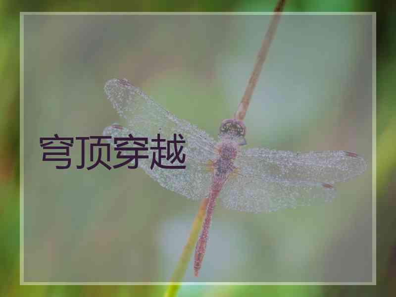 穹顶穿越