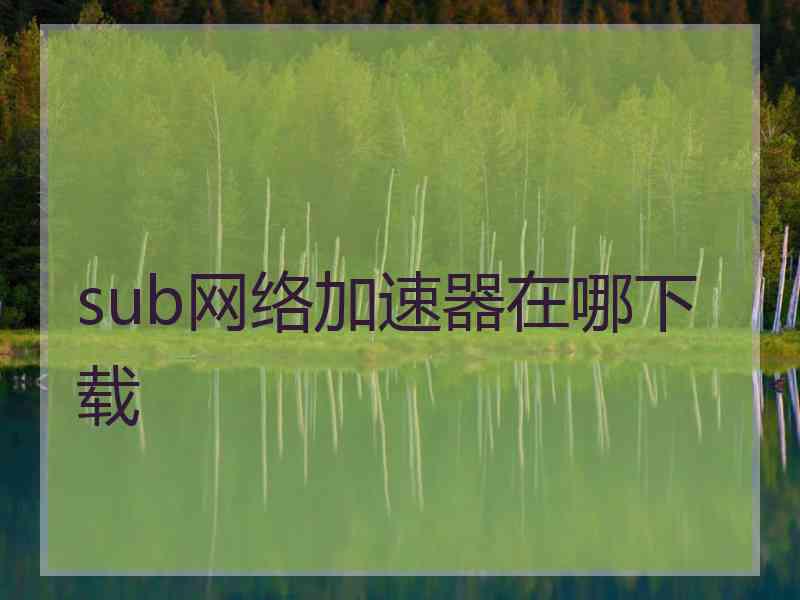 sub网络加速器在哪下载