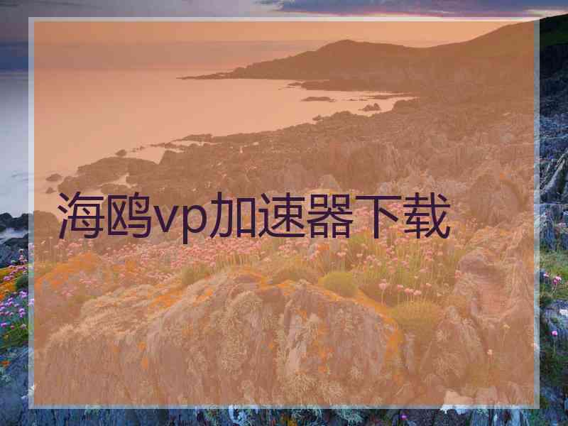 海鸥vp加速器下载