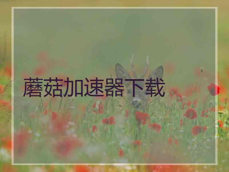 蘑菇加速器下载