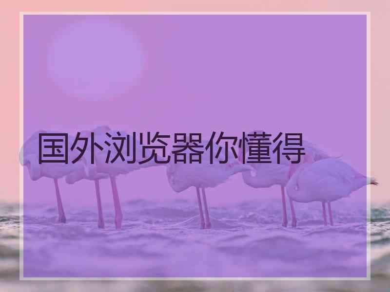 国外浏览器你懂得