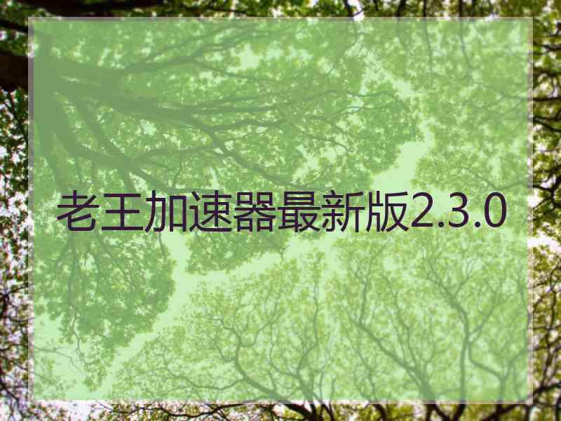 老王加速器最新版2.3.0